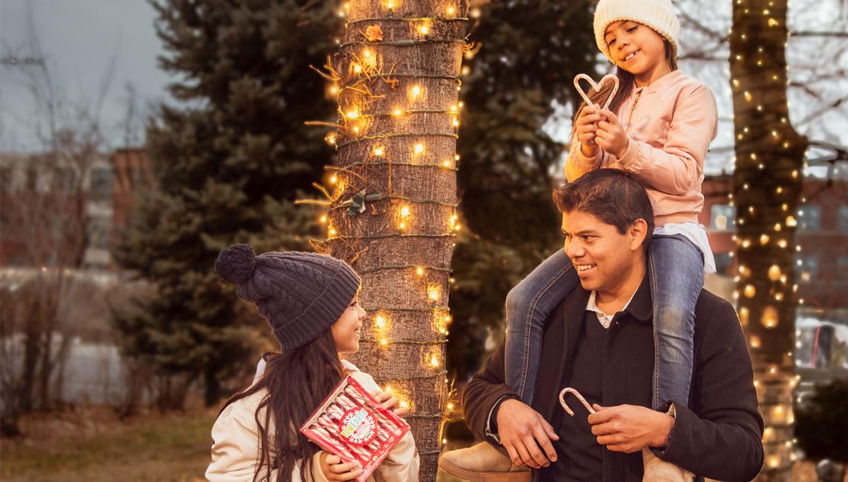 YumEarth Organic Candy Canes - Individually Wrapped Full Size Peppermint Candy Canes - Allergy Friendly, Non GMO, Gluten Free, Vegan, Dye Free Christmas Candy - 10 Count (Pack of 1)