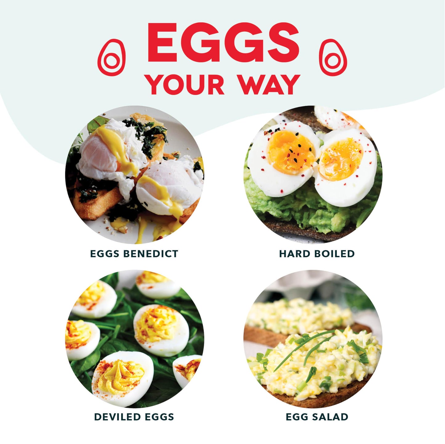 DASH Electric Rapid Egg Cooker for Hard Boiled/Poached/Scrambled Eggs or Omelets with Auto Shut-Off Feature, Black, 7 Egg Capacity