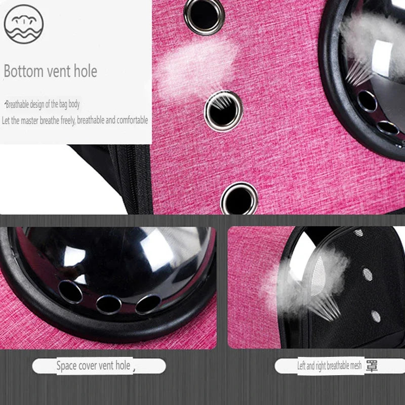 S0e772ebbae654a39811696f7e9a88dc5W