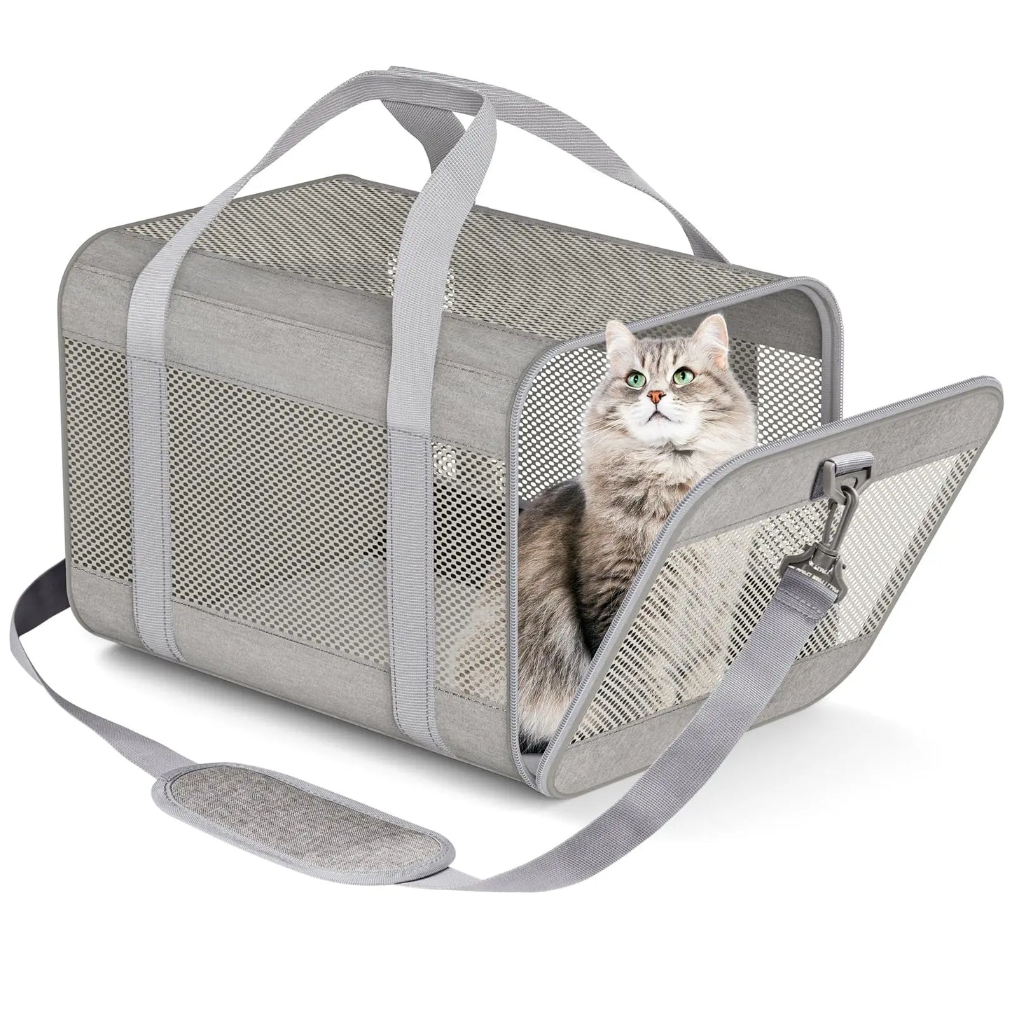 S3eb9260d27974e0f89e0c49e559a7b8dT