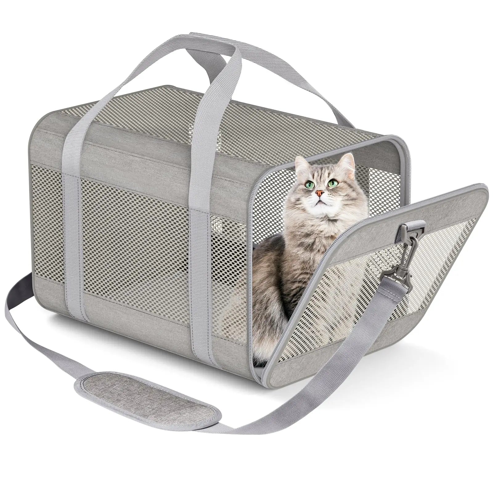 S3eb9260d27974e0f89e0c49e559a7b8dT