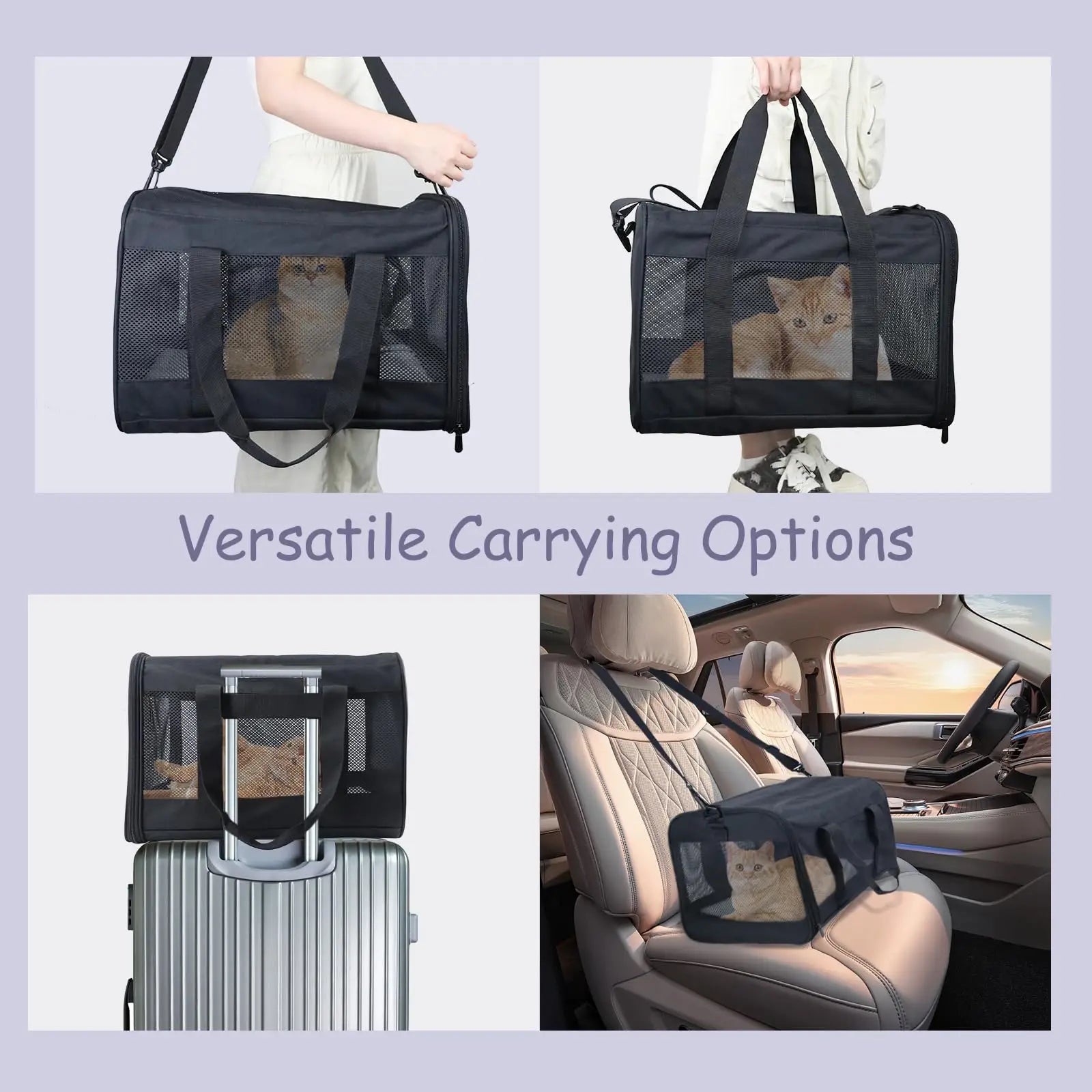 Sda6d2cbb87484506a680e9400ff3eeb4e